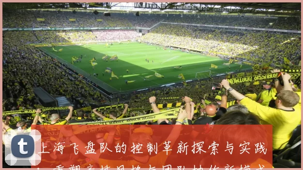 上海飞盘队的控制革新探索与实践：重塑竞技风格与团队协作新模式