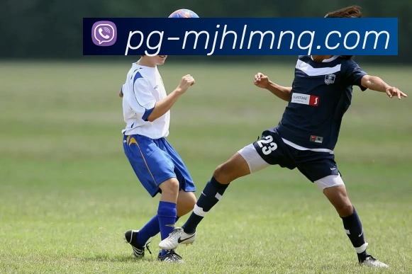 麻将糊了模拟器平台生态图